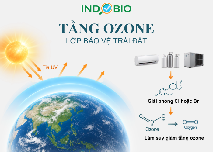 Tầng ozone bảo vệ Trái Đất